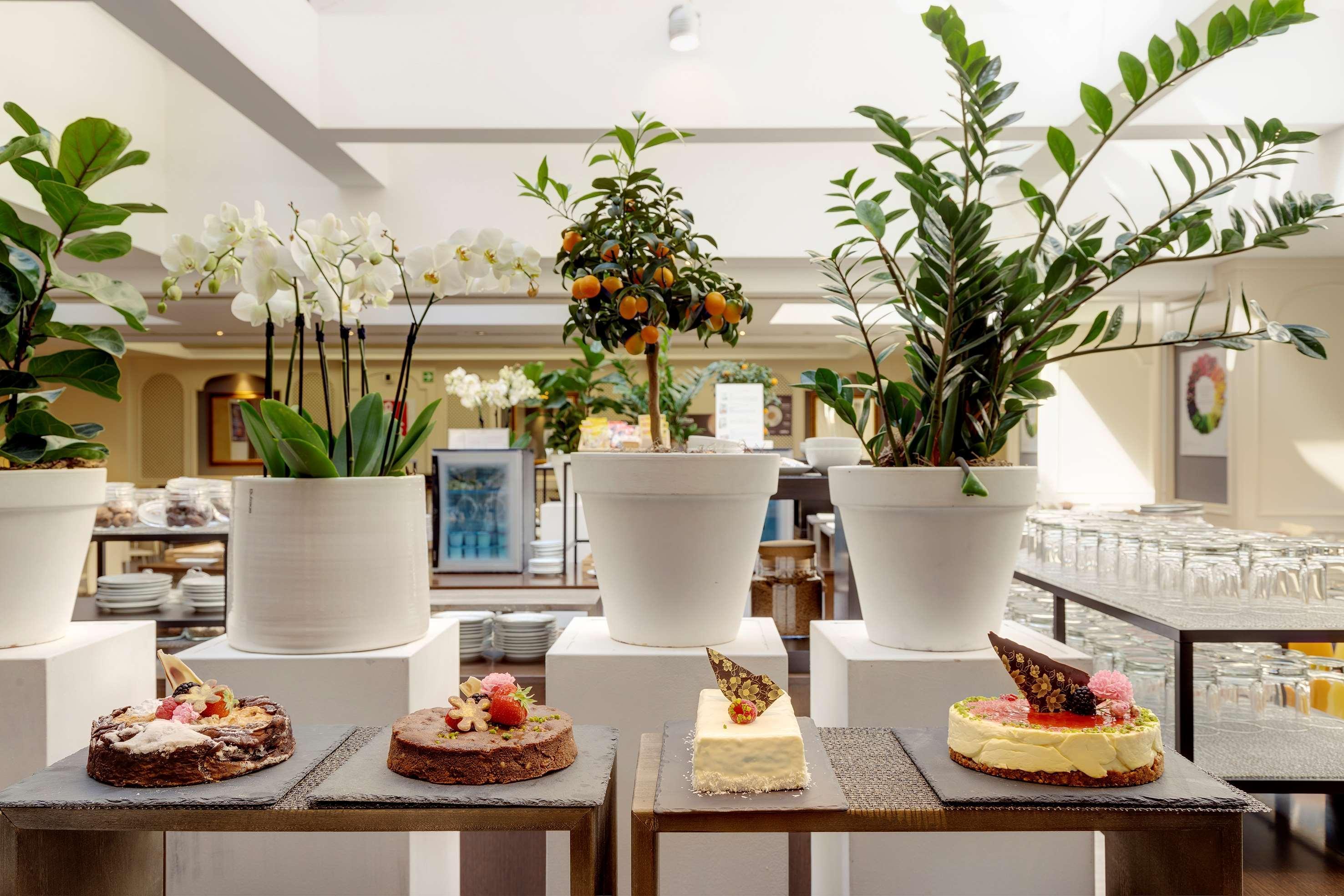 Meliá Hotel 5*